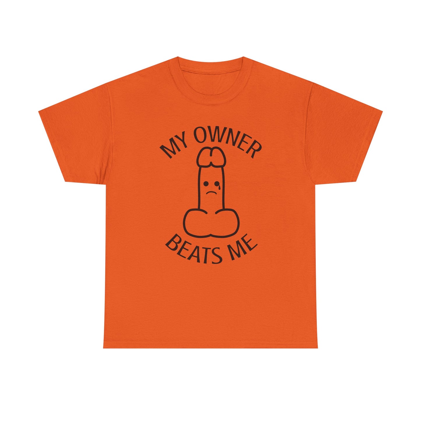 My Owner Beats Me